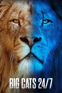 Большие кошки днём и ночью